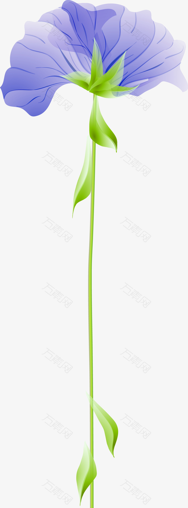 紫色花朵矢量图