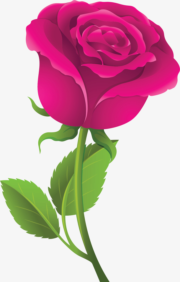 卡通玫瑰花 素材 免费卡通玫瑰花图片素材 卡通玫瑰花素材大全 万素网