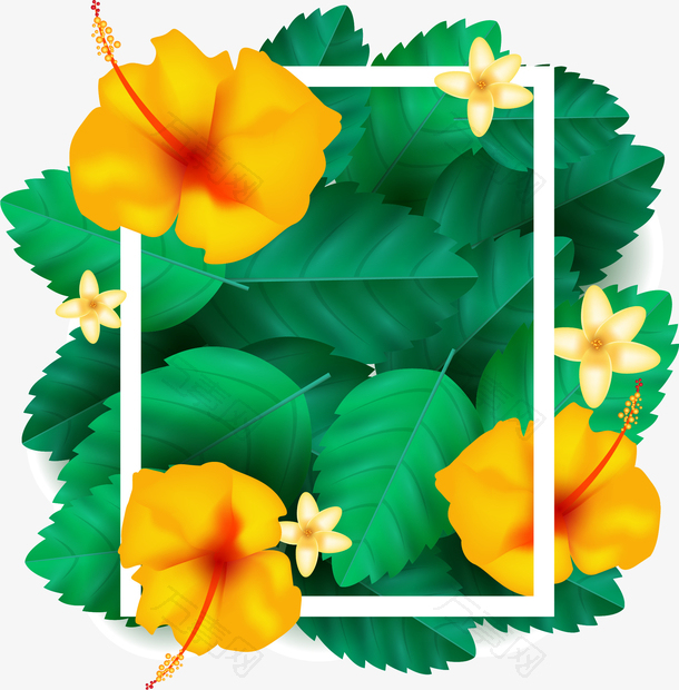 热带植物边框png