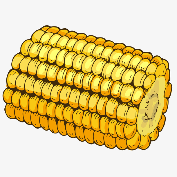 半个甜玉米免抠png