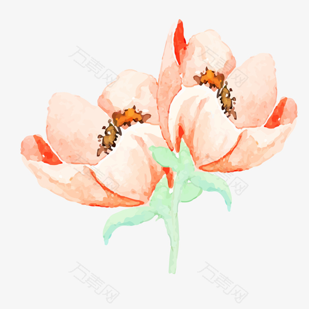 唯美粉红色花朵花蕊手绘水彩花朵