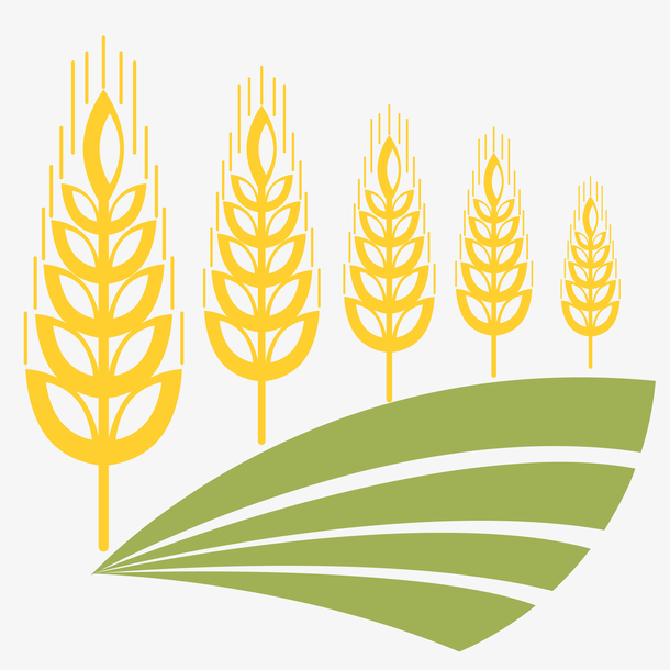 小麦和麦田图标设计