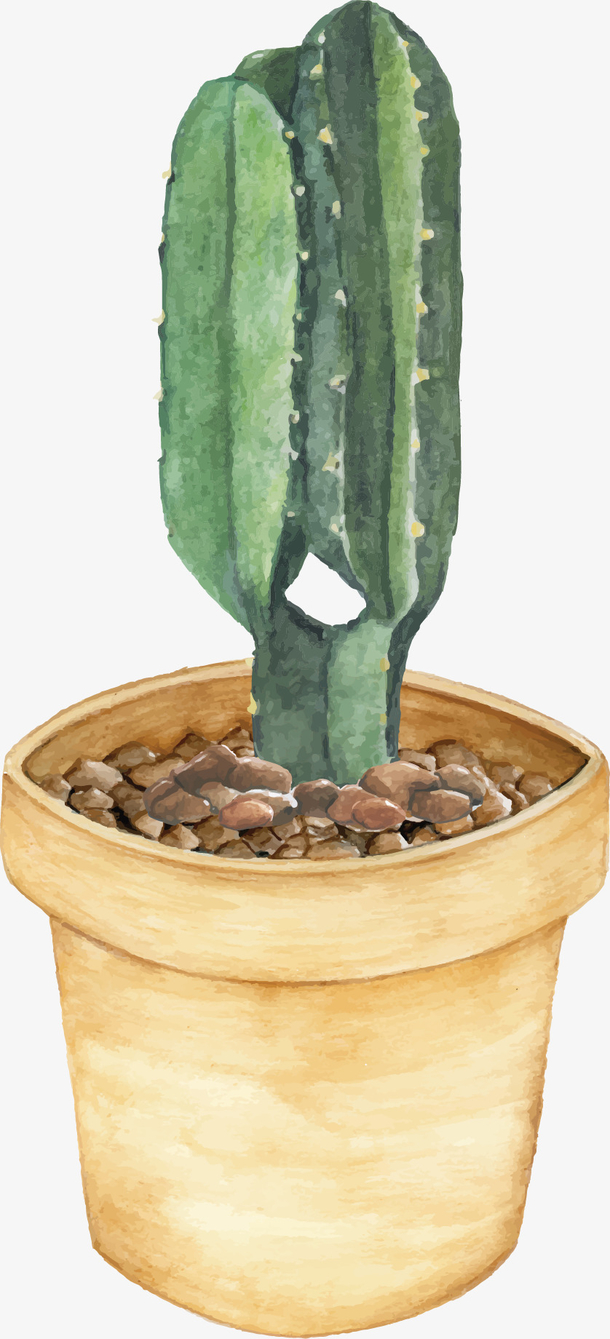 手绘风仙人掌盆栽