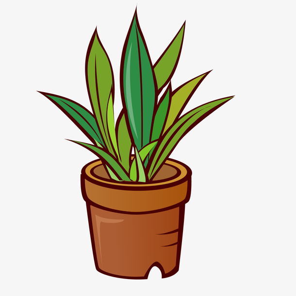 手绘卡通植物