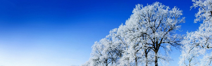 冬天雪地背景图 电商 狂欢 19 450px 编号 Jpg格式 万素网