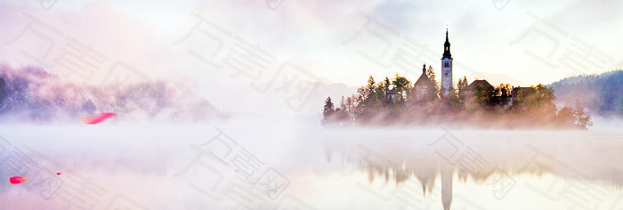 梦幻树林背景