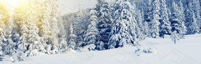 雪景背景