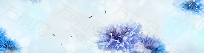 护肤蓝色花絮唯美背景banner