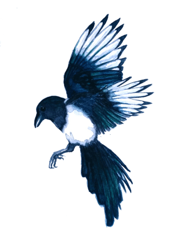 展翅的蓝白鸟卡通手绘免抠图