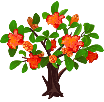 图片 果树 "共 259 个结果