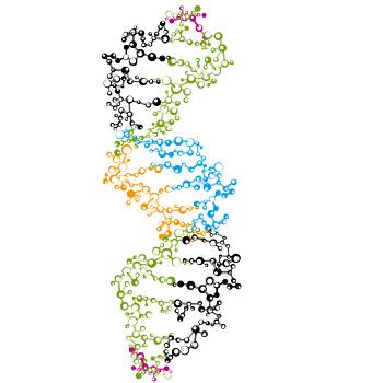 彩色人体dna结构