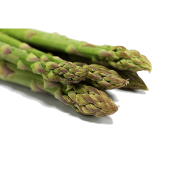 美味的蔬菜笋根