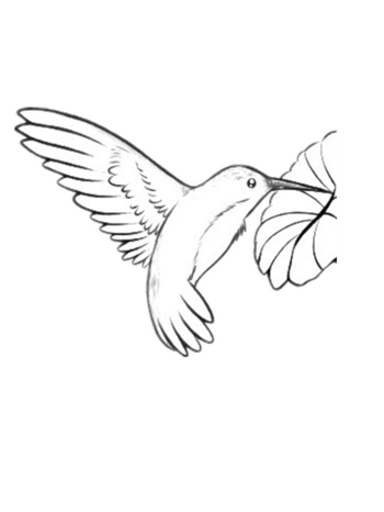 黑白花素材图片免费下载 黑白花素材素材 万素网