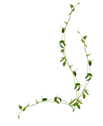 绿色藤条图片-绿色藤条设计素材-绿色藤条素材免费下载-万素网
