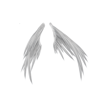 天使翅膀素材侧面图片