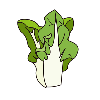 手绘绿色白菜叶子图片