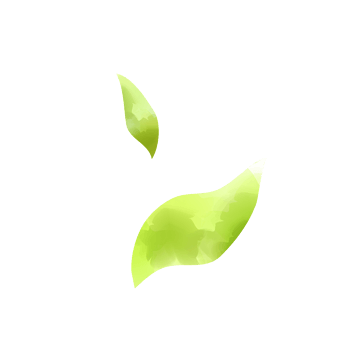 渐变绿叶背景图