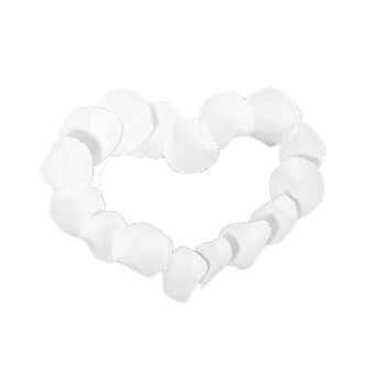 心形白玫瑰花瓣