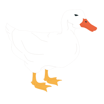 白色超胖鸭子卡通图片图片
