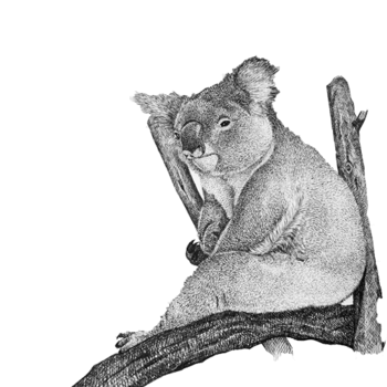 考拉发呆钢笔画素材图片