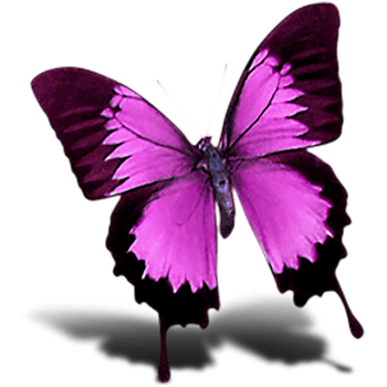 蝴蝶png免费下载免抠元素图片-元素素材3040989-万素网