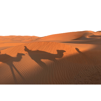 沙漠夕阳 素材 免费沙漠夕阳图片素材 沙漠夕阳素材大全 万素网
