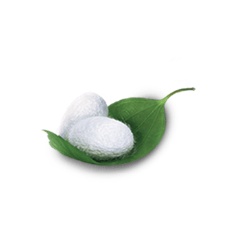 唯美精美护肤树叶蚕丝 蚕丝面料