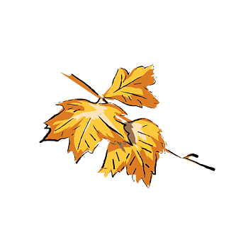 手绘黄色落叶