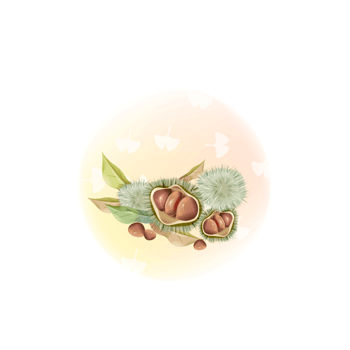 板栗卡通矢量素材