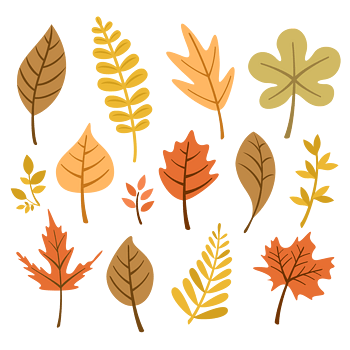 秋的元素 素材 免费秋的元素图片素材 秋的元素素材大全 万素网