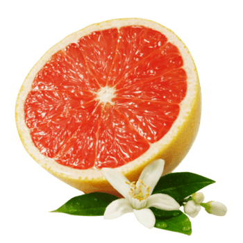 红心柚子图片-红心柚子设计素材-红心柚子素材免费下载-万素网