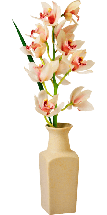 花瓶插花图片-花瓶插花设计素材-花瓶插花素材免费下载-万素网