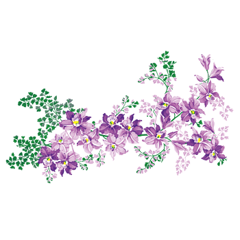 紫草 素材 免费紫草图片素材 紫草素材大全 万素网