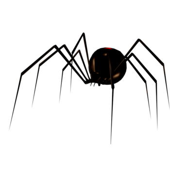 长腿蜘蛛