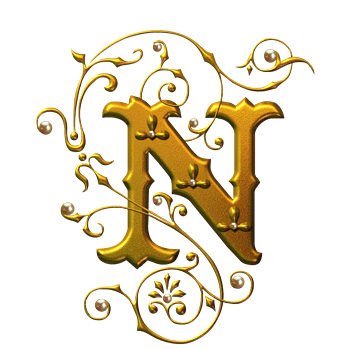 金色字母n
