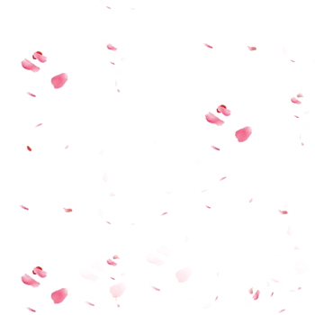 漂浮的粉色花瓣素材