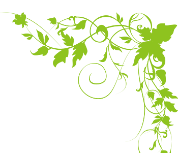 绿色花纹装饰矢量图