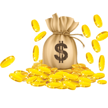 金币钱袋