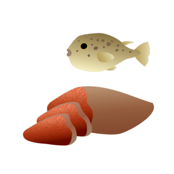 卡通切片石斑鱼