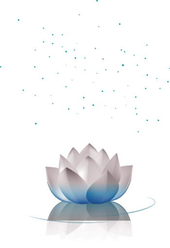 装饰蓝底白莲花