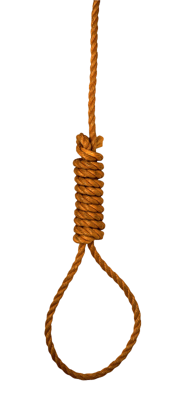 漂浮元素-免抠png元素,png素材下载-万素网