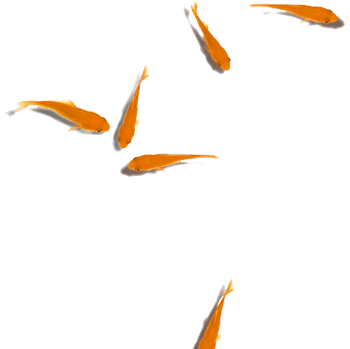 游鱼免抠元素图片-元素素材4582097-万素网