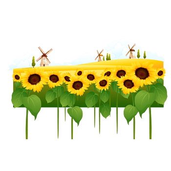 向日葵背景素材图片免费下载 向日葵背景素材素材 万素网