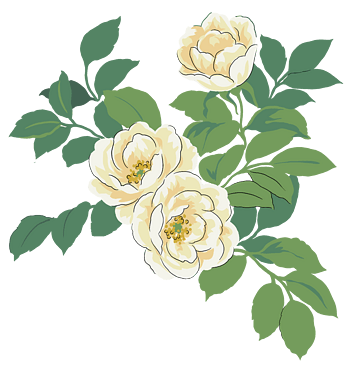 山茶花png元素素材图片下载-万素网