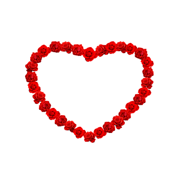 红色心形玫瑰花
