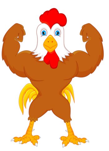 健美公鸡