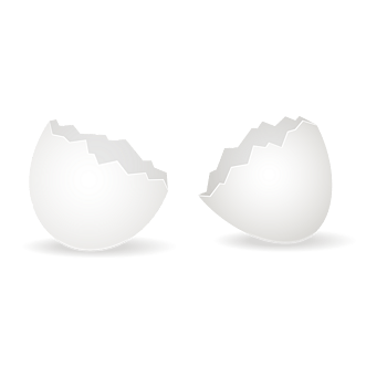 破碎白色蛋壳矢量