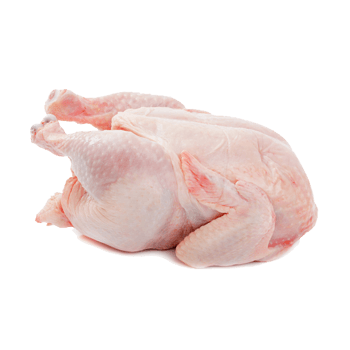 新鲜整鸡肉