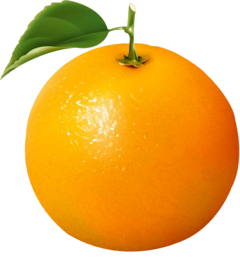 卡通橙子素材
