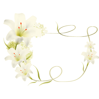 百合花边框